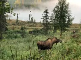 LAKE FRONT fishing between Kasilof & Kenai river