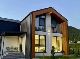 The NEST Villa