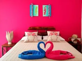 Tropical Cabina Pool & AC Cozy Bright Refreshing