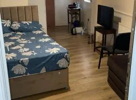 Elegant En-Suite Room for a Relaxing Stay