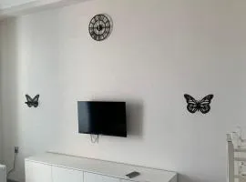 Astara Apartman 1-45