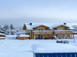 Villa with terrace, sauna near the border triangle