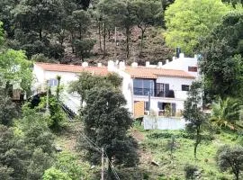 Attraktive und luxuriöse Villa mit Pool-Jacuzzi