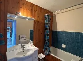 Appartement 2 pièces vue montagne, proche pistes et lac - FR-1-814-64