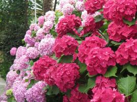 Apartmani Hortenzija