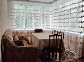 Village house