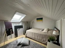 Cozy home for big travel group close to Volvo