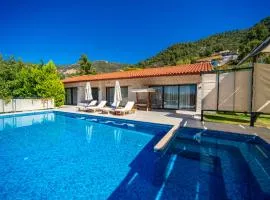 Eco Villa Su