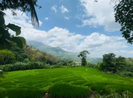 Wow Field Homestay