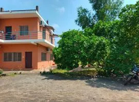 Banana Farmhouse Auroville