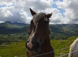 Hotel Restaurant Haus Rheinblick