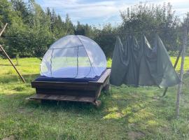 stargazing - Wiesenbett, glampingplads i Regen