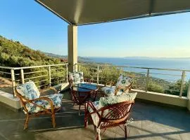 The Perch
