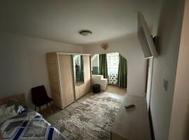 Apartament GBY، فندق يسمح بالحيوانات الأليفة في دروبيتا تورنو سيفيرين