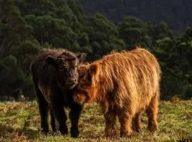 Ruby's Cottage Farm Stay