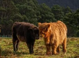 Ruby's Cottage Farm Stay
