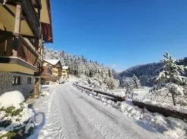 Apartmán Viktória 5