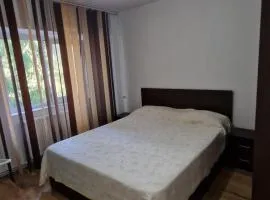 Apartament Ireg