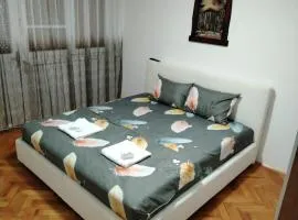 Apartman Zdravković