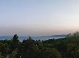 Апартамент Ивела