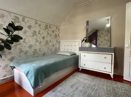Gulzina Guest House