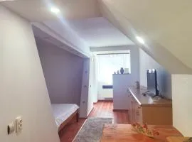 Garsonieră central Tg Jiu