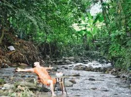 Papa's Garden - Homestay Hà Giang