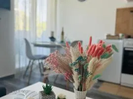 Apartments Tijana