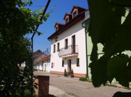 Penzion u Ivana, hotel in Bořetice