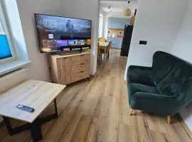 Apartament z kominkiem koło stoku