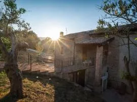 B&B Italia Rende
