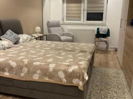 Apartament Teo, hotel in Nădlac
