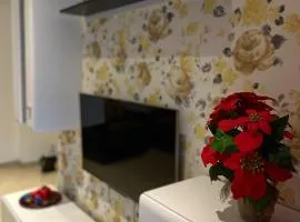 Confort Studio
