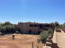 Skoura Ranch Palm Grove