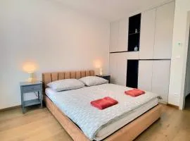 Downtown New Apartment Free Parking