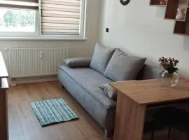 Studio Krivá