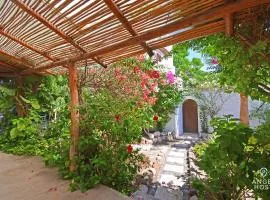 Private pool, Oceanview Rooftop in Historic La Paz
