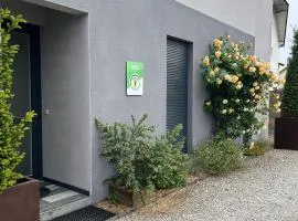 Gîte contemporain avec piscine et terrasse privative, proche d’Orléans et de la Loire - FR-1-590-132