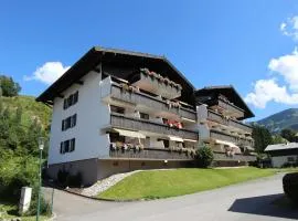 Apartment Maria Alm near Hochkönig Ski Slopes