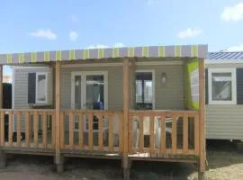 Mobil home 6 pers avec terrasse à Notre-Dame-de-Monts - API-1-52-615