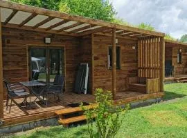 Chalet 3 pièces avec terrasse à Coulon - API-1-52-669
