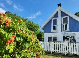 Ferienhaus Juliusruh