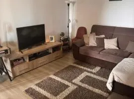 Apartament 3 camere