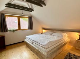 Hacienda Dedinky A, hotel en Dedinky