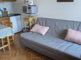 Studio au pied des pistes avec balcon et cuisine équipée - FR-1-557-94