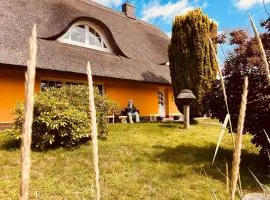 Ferienhaus Brise - Skipper's Kabine