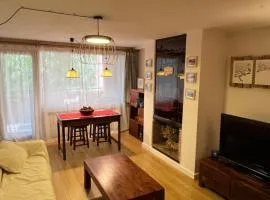 Apartamento en Cerler 1F