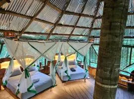 Casa del árbol Gecko - 6 El Arca