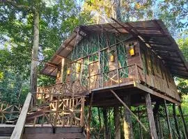 Casa del árbol - Mirador Tacana