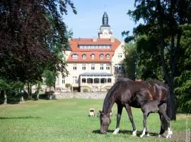 Ferienhaus nahe WINSTONgolf Schwerin
